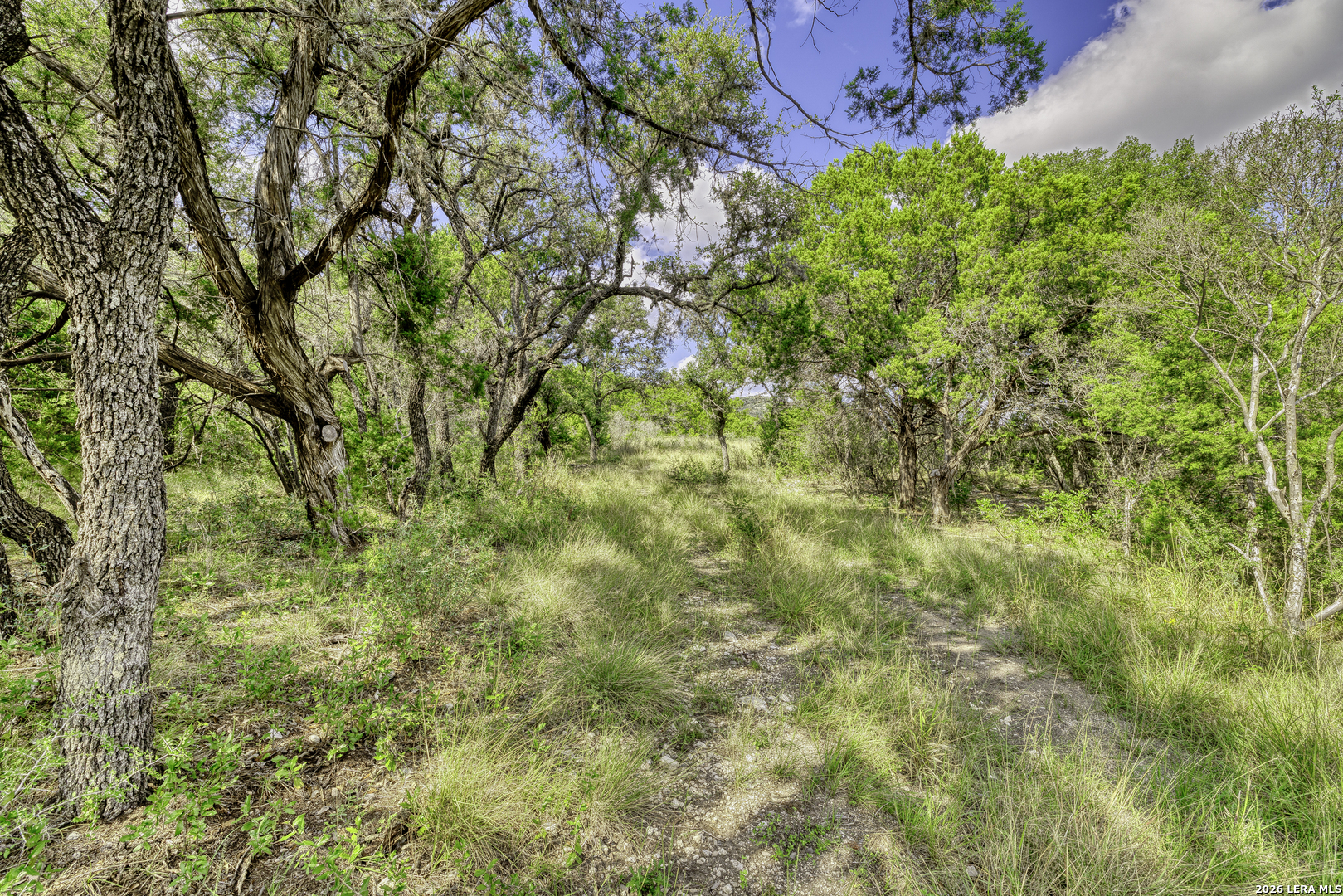 2455 N Hwy 83, Leakey, TX 78873