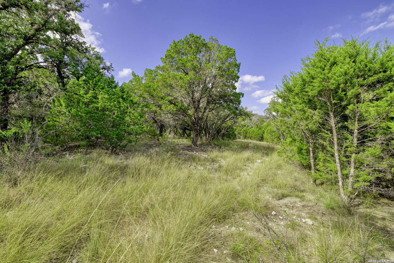 2455 N Hwy 83, Leakey, TX 78873
