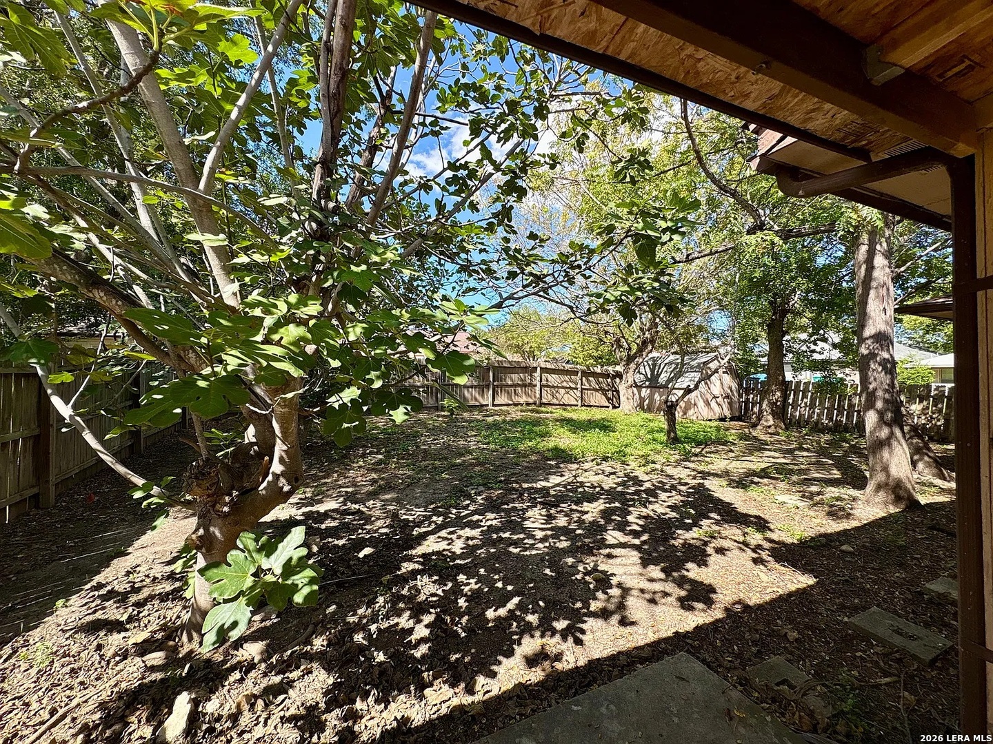 8131 Forest Dawn, Live Oak, TX 78233