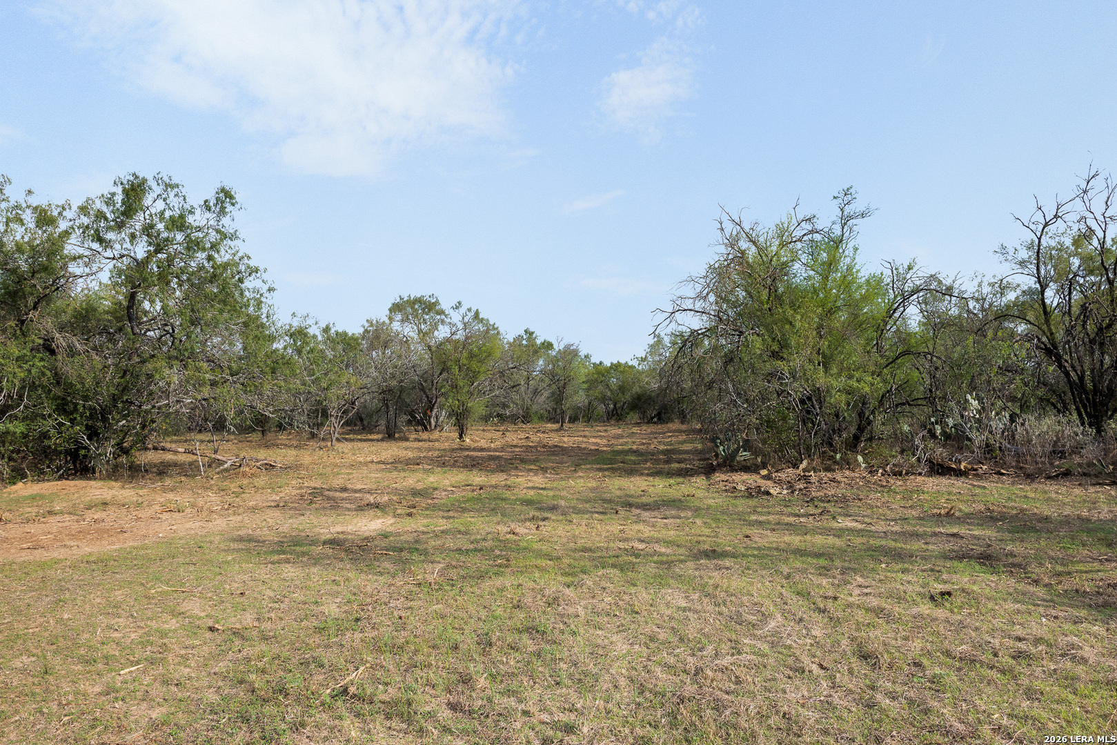 TRACT 11 Schultz Rd, Elmendorf, TX 78112