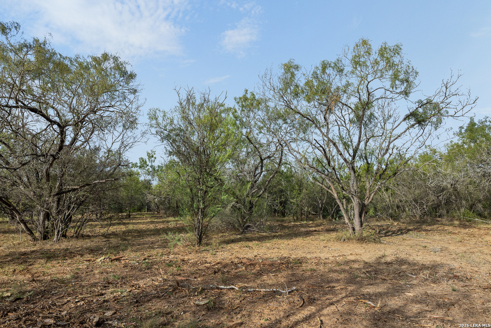 TRACT 11 Schultz Rd, Elmendorf, TX 78112