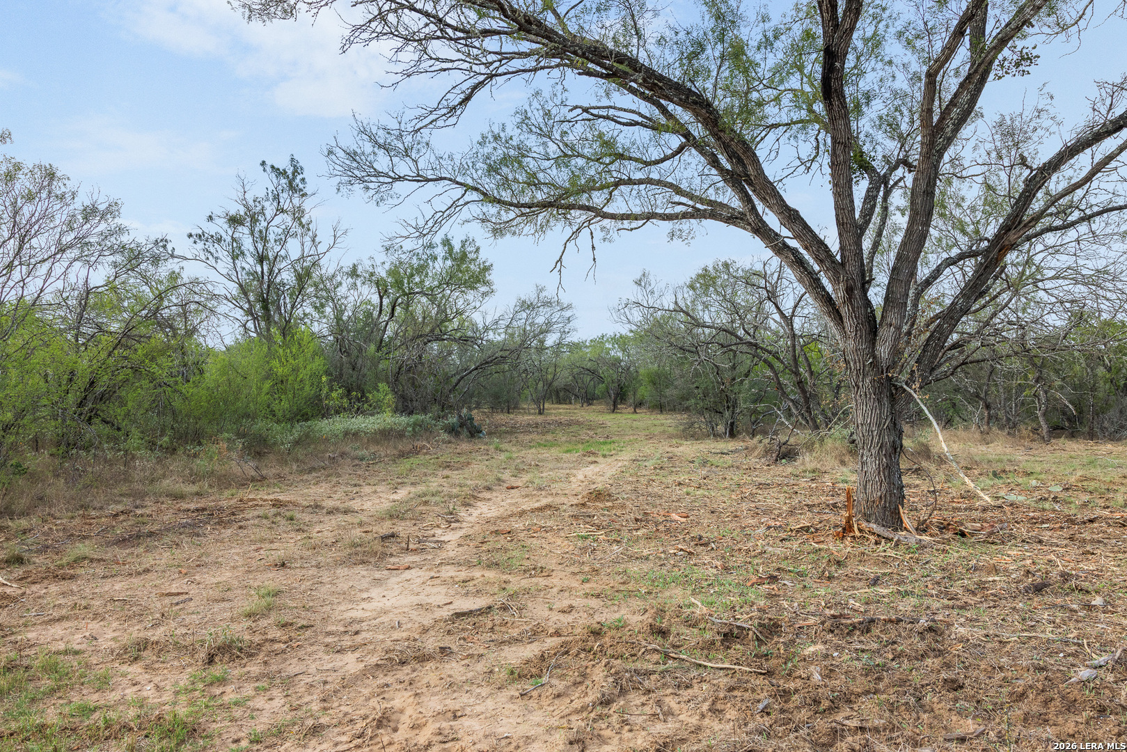 TRACT 11 Schultz Rd, Elmendorf, TX 78112