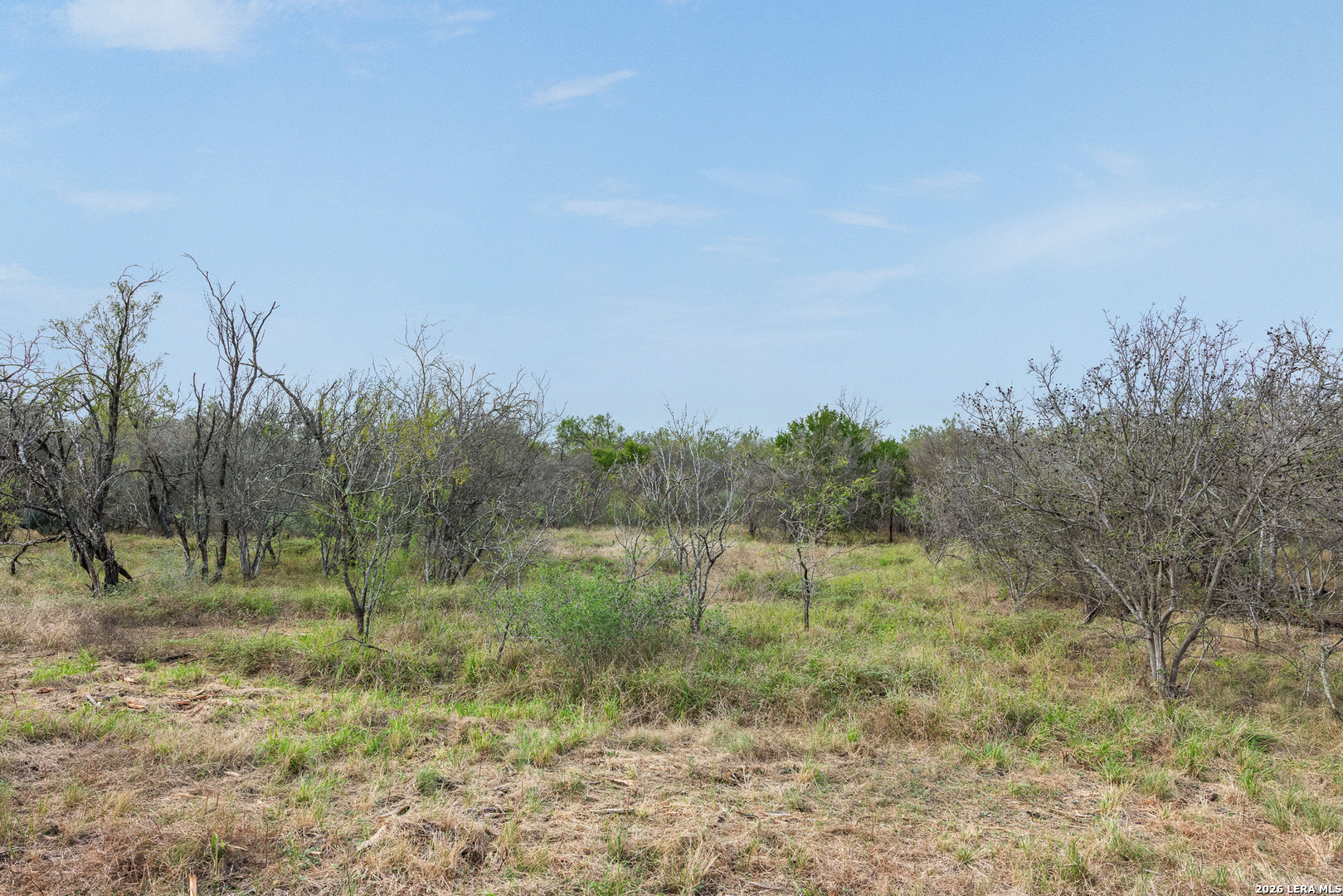 TRACT 11 Schultz Rd, Elmendorf, TX 78112