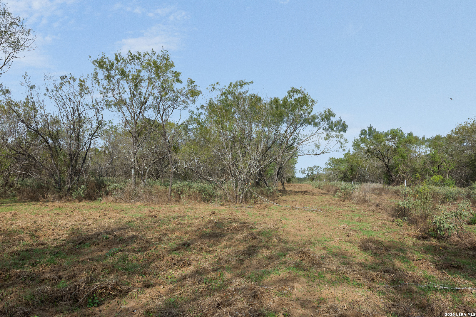 TRACT 11 Schultz Rd, Elmendorf, TX 78112