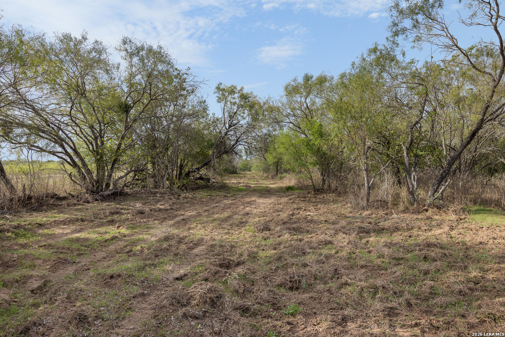 TRACT 11 Schultz Rd, Elmendorf, TX 78112