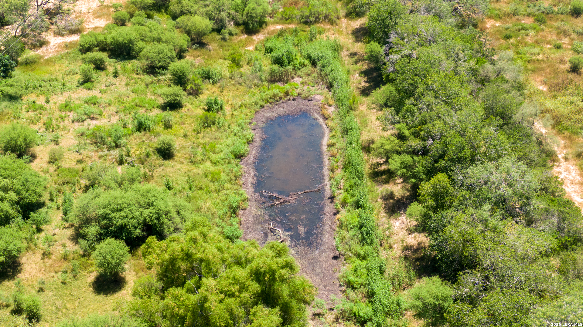 17873 Shady Falls Rd, Elmendorf, TX 78112