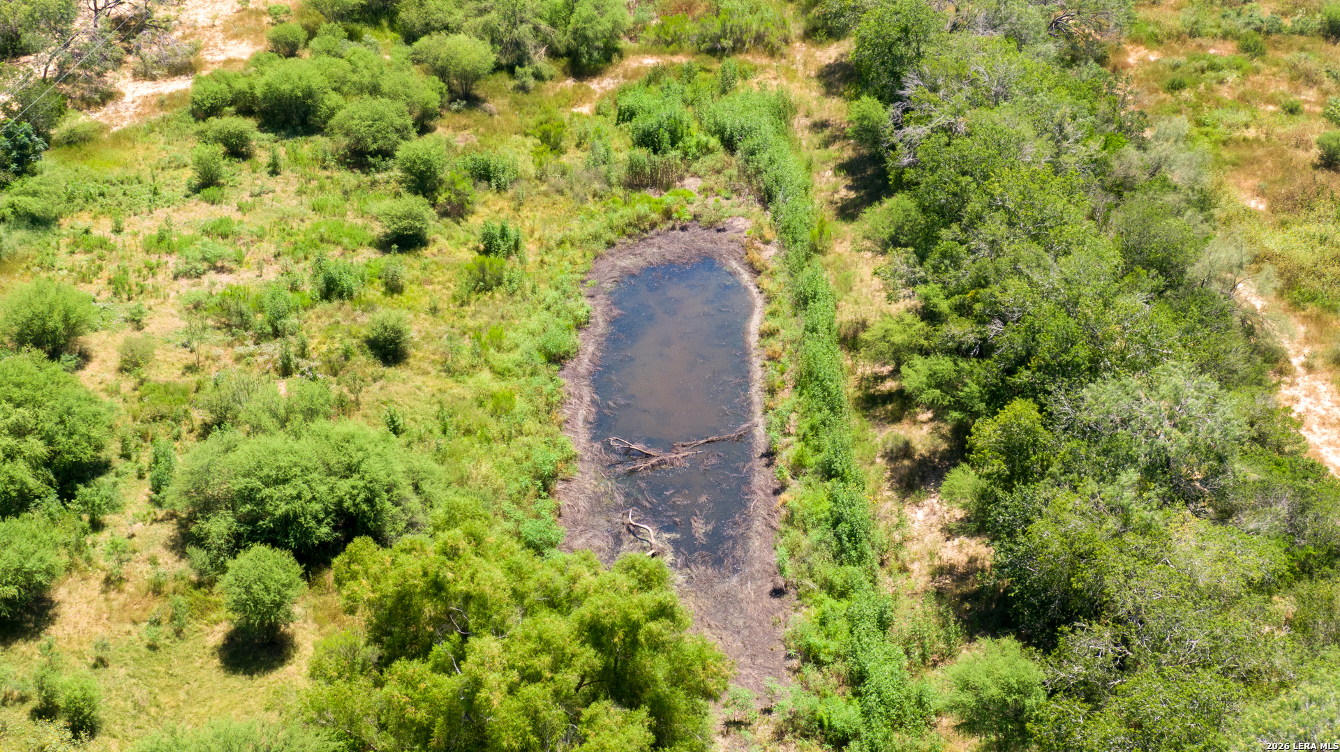 17873 Shady Falls Rd, Elmendorf, TX 78112