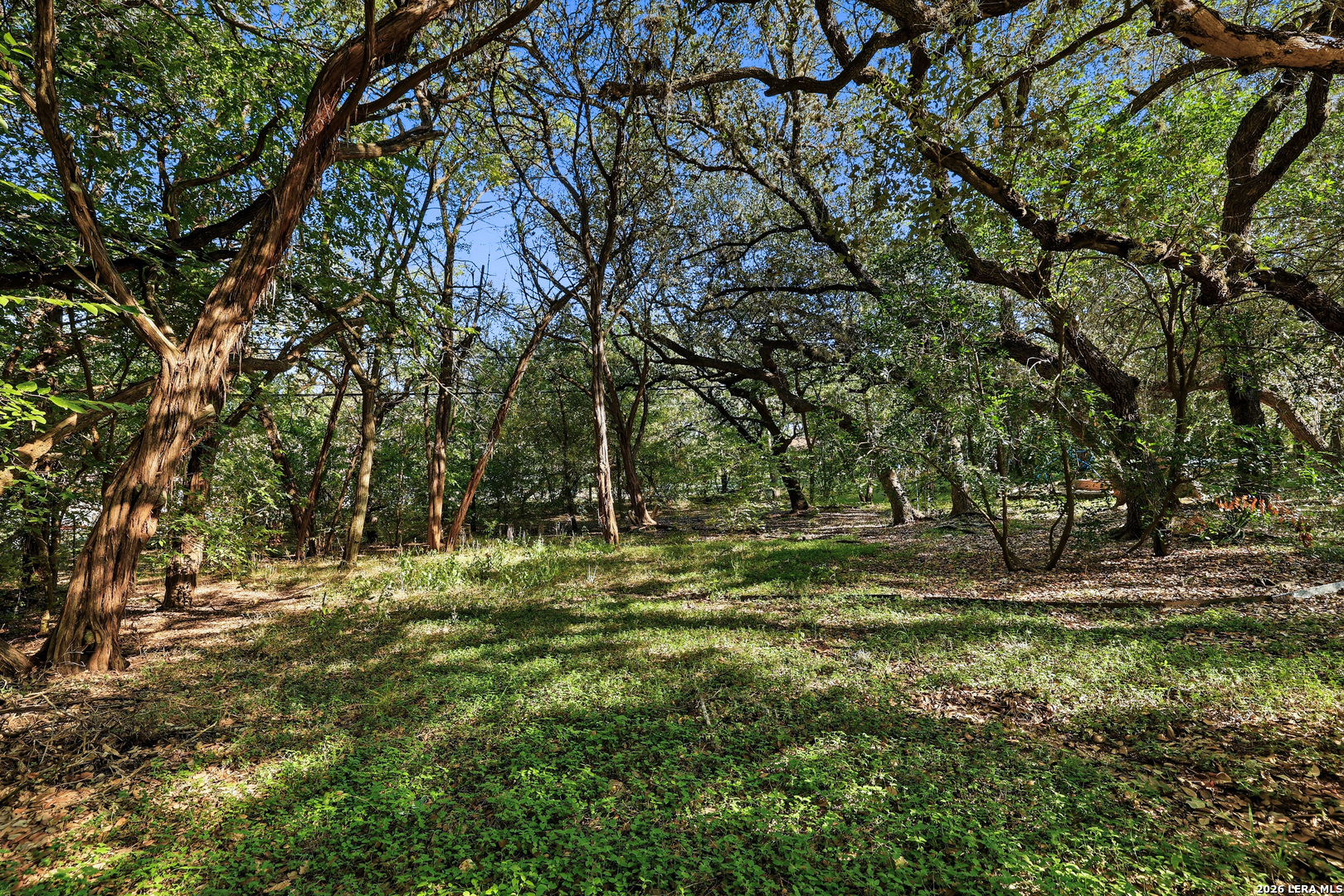 15610 Chinquapin, Helotes, TX 78023