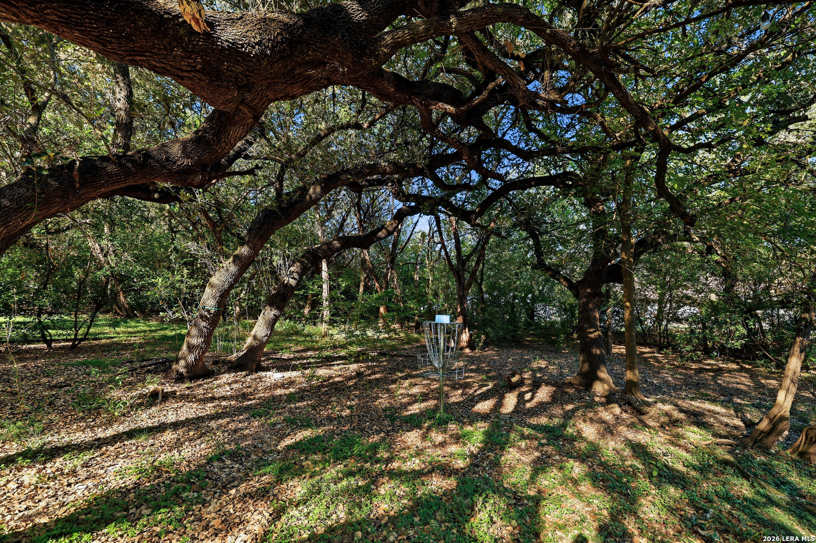 15610 Chinquapin, Helotes, TX 78023