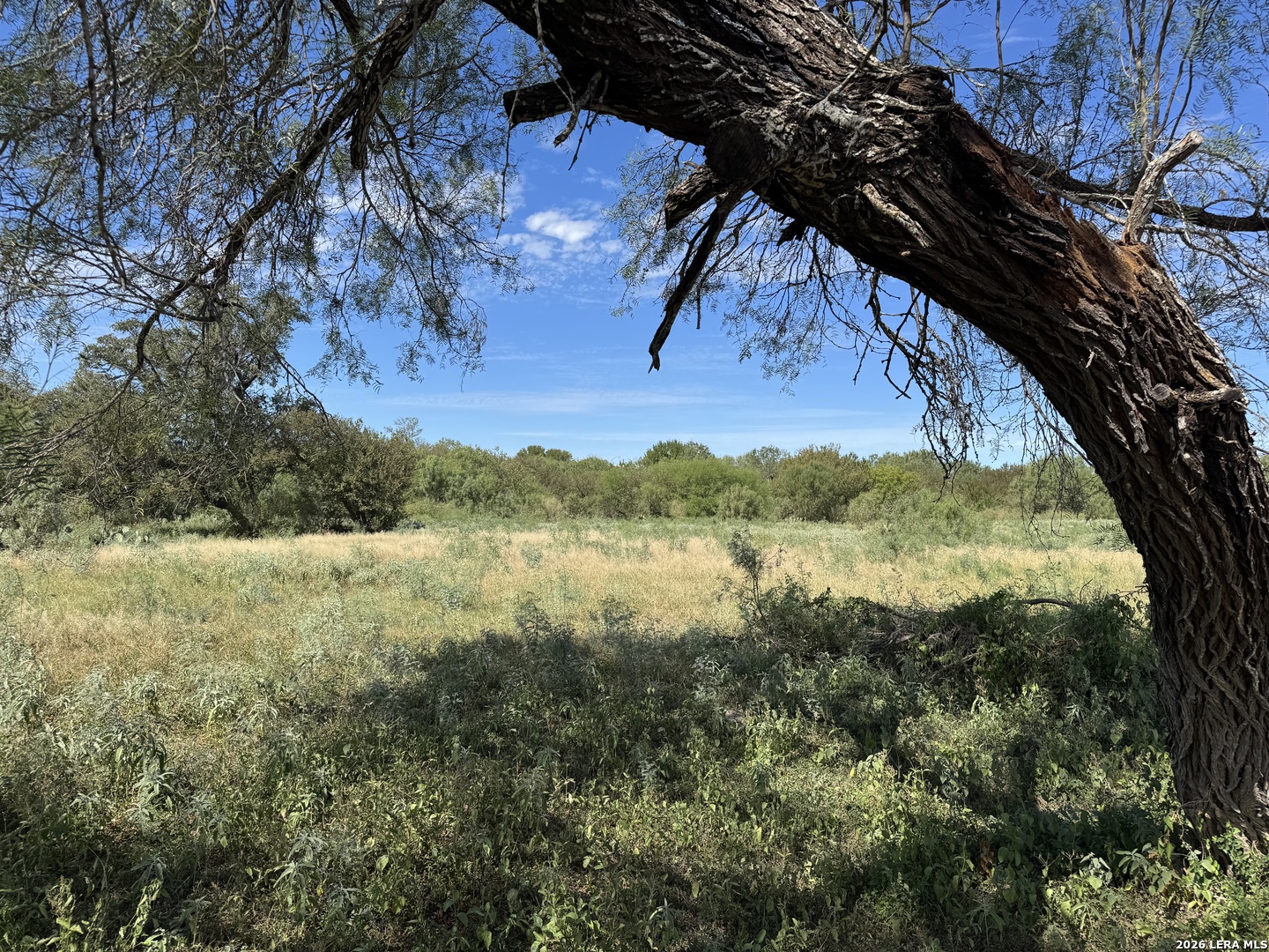 600 RIO ST, Uvalde, TX 78801