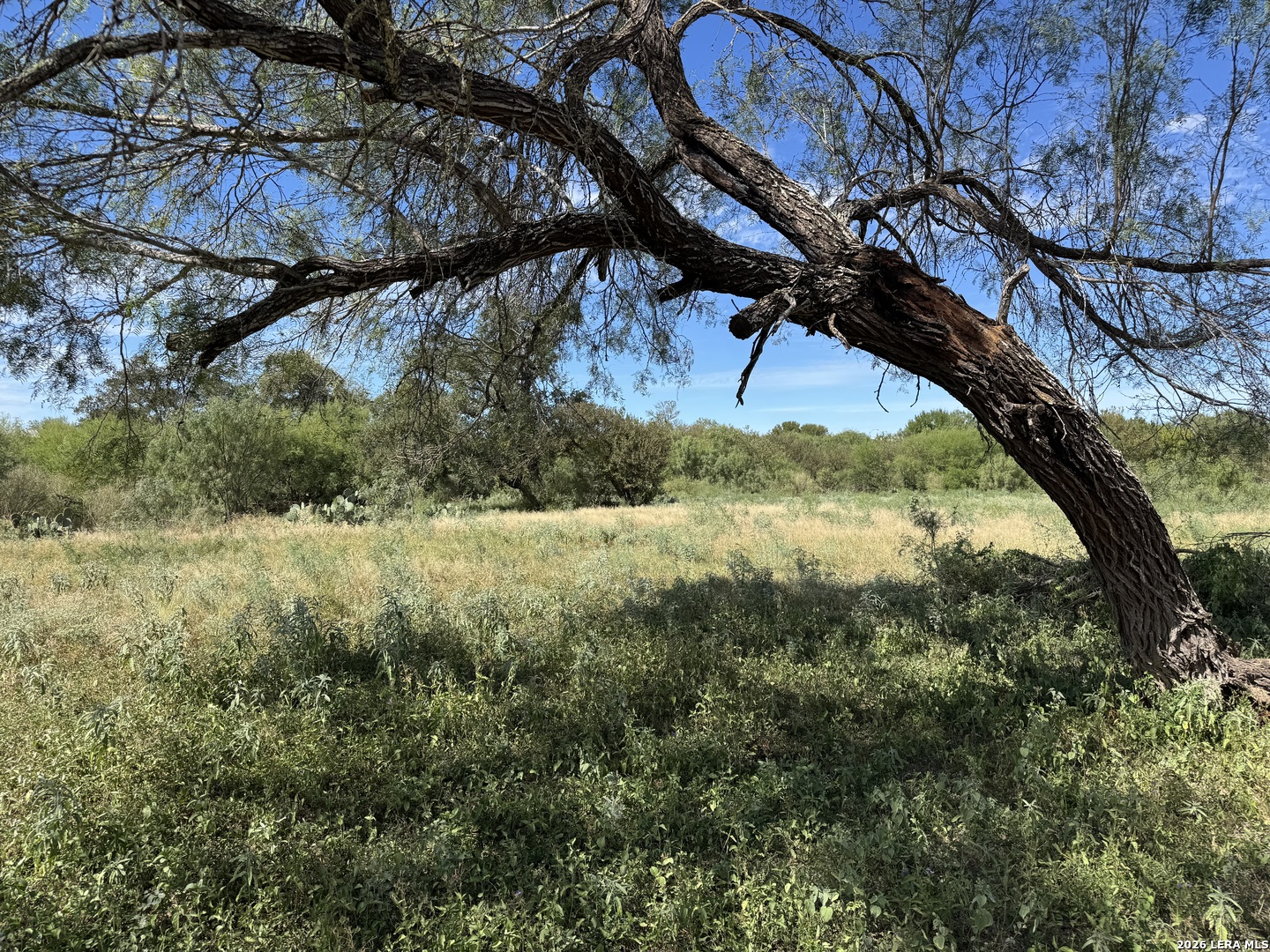 600 RIO ST, Uvalde, TX 78801