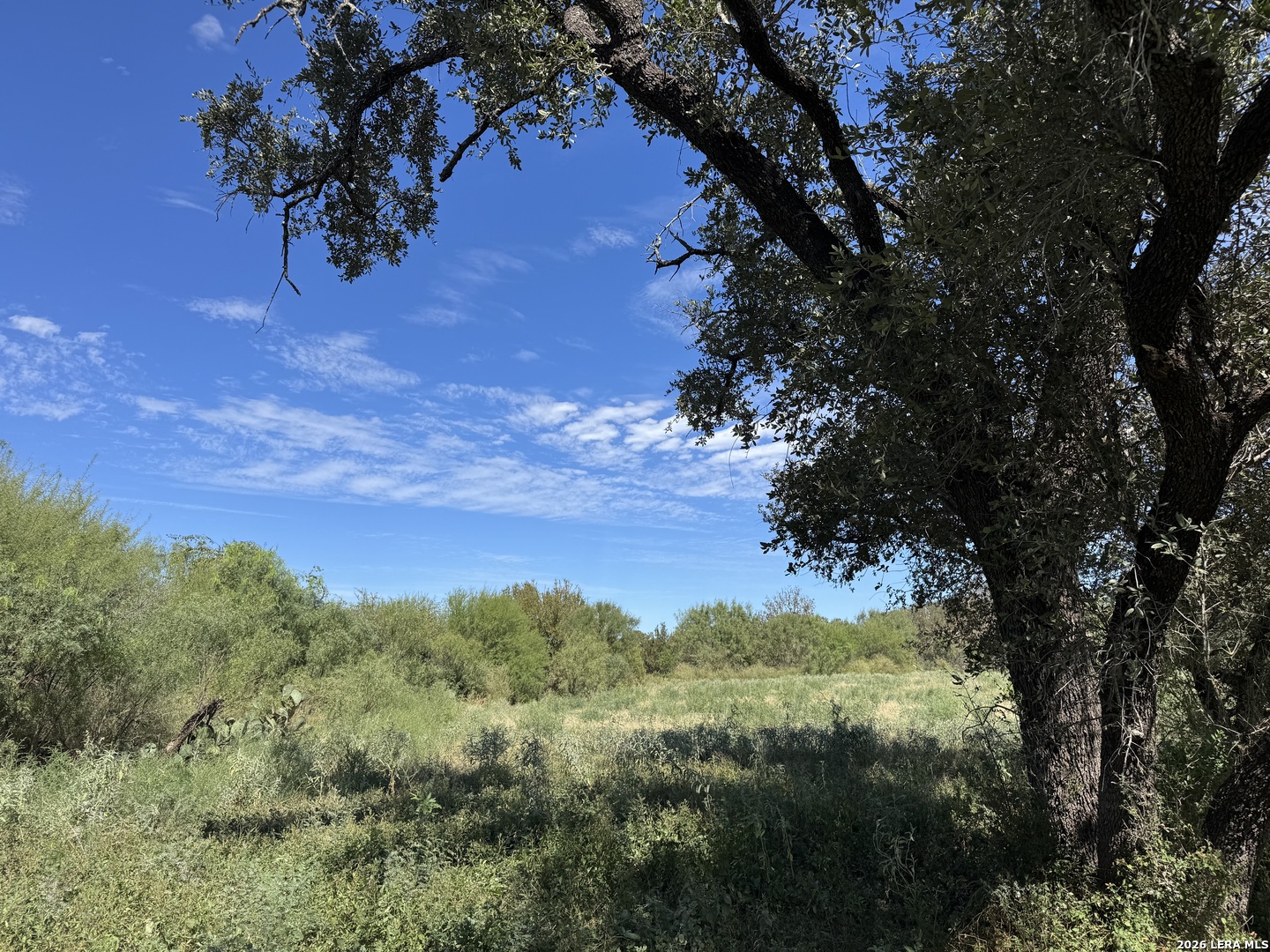 600 RIO ST, Uvalde, TX 78801