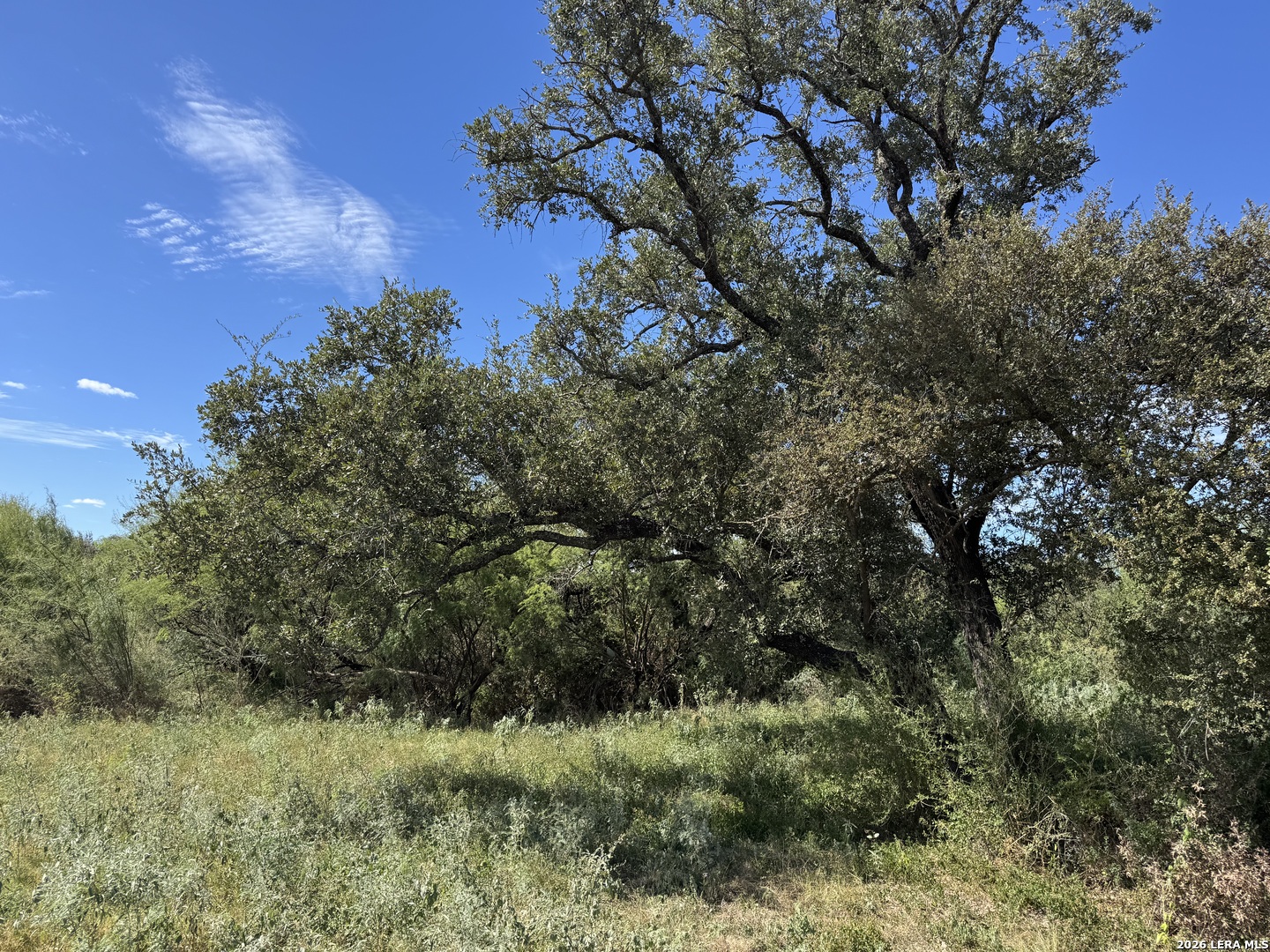 600 RIO ST, Uvalde, TX 78801