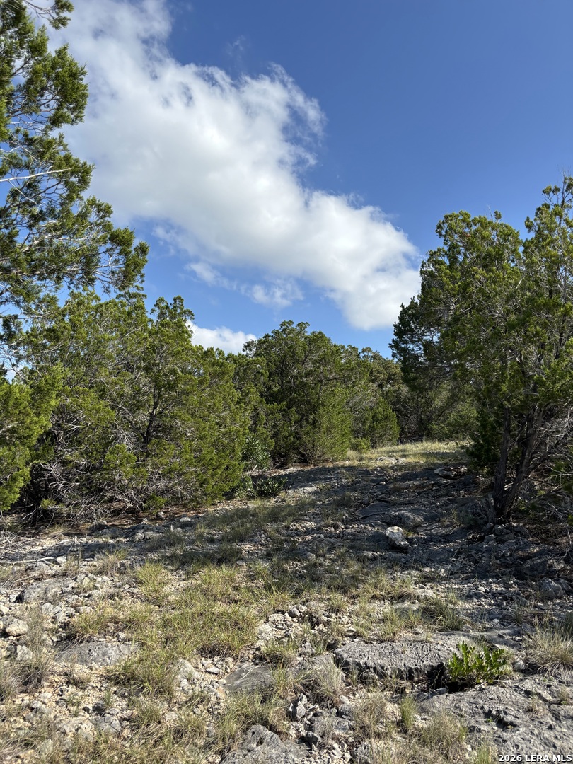 20 N Rimrock Road, Leakey, TX 78873