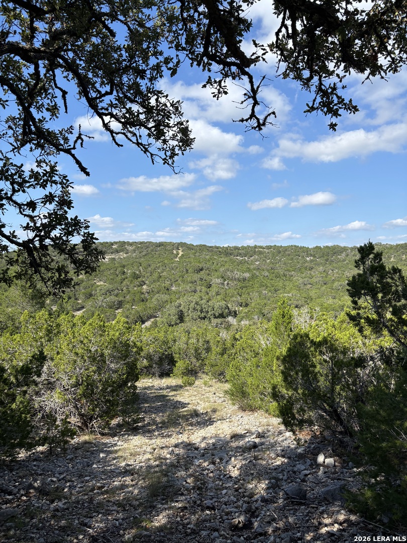 20 N Rimrock Road, Leakey, TX 78873