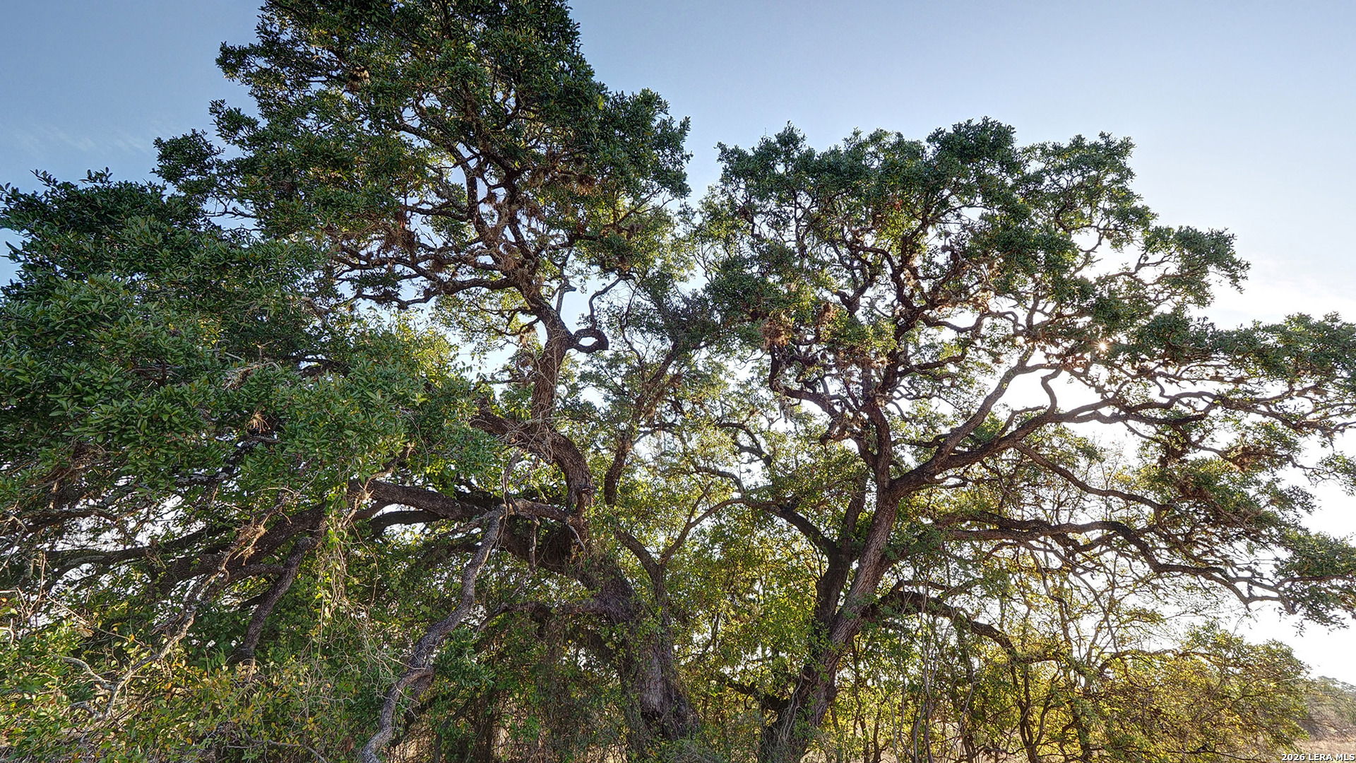 1439 Chipmunk Ave, New Braunfels, TX 78132