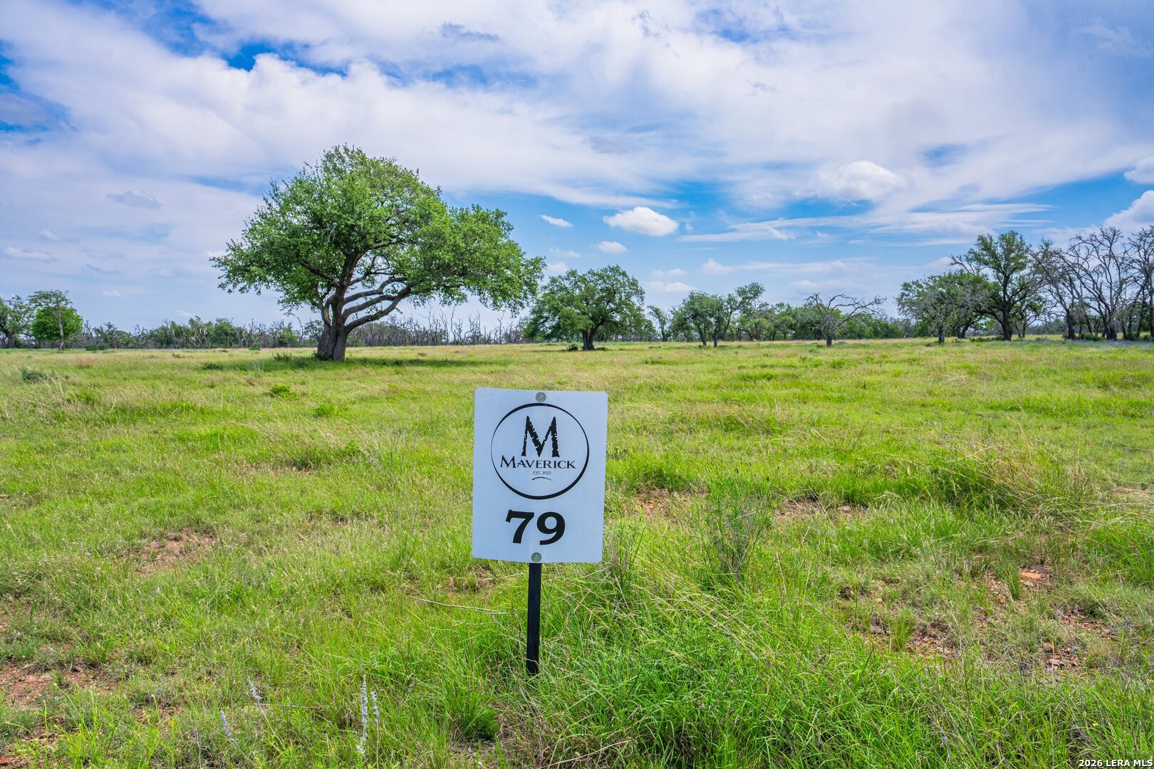 LOT 79 Stock Pond Dr, Harper, TX 78631