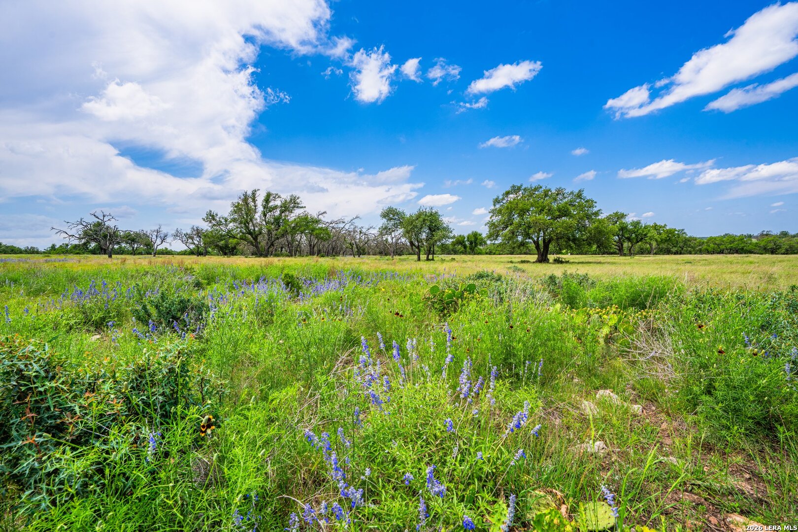 LOT 79 Stock Pond Dr, Harper, TX 78631