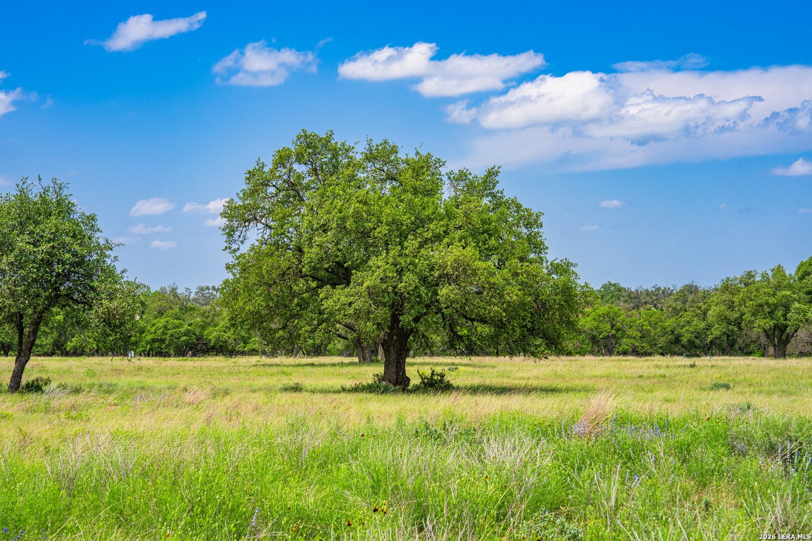 LOT 79 Stock Pond Dr, Harper, TX 78631