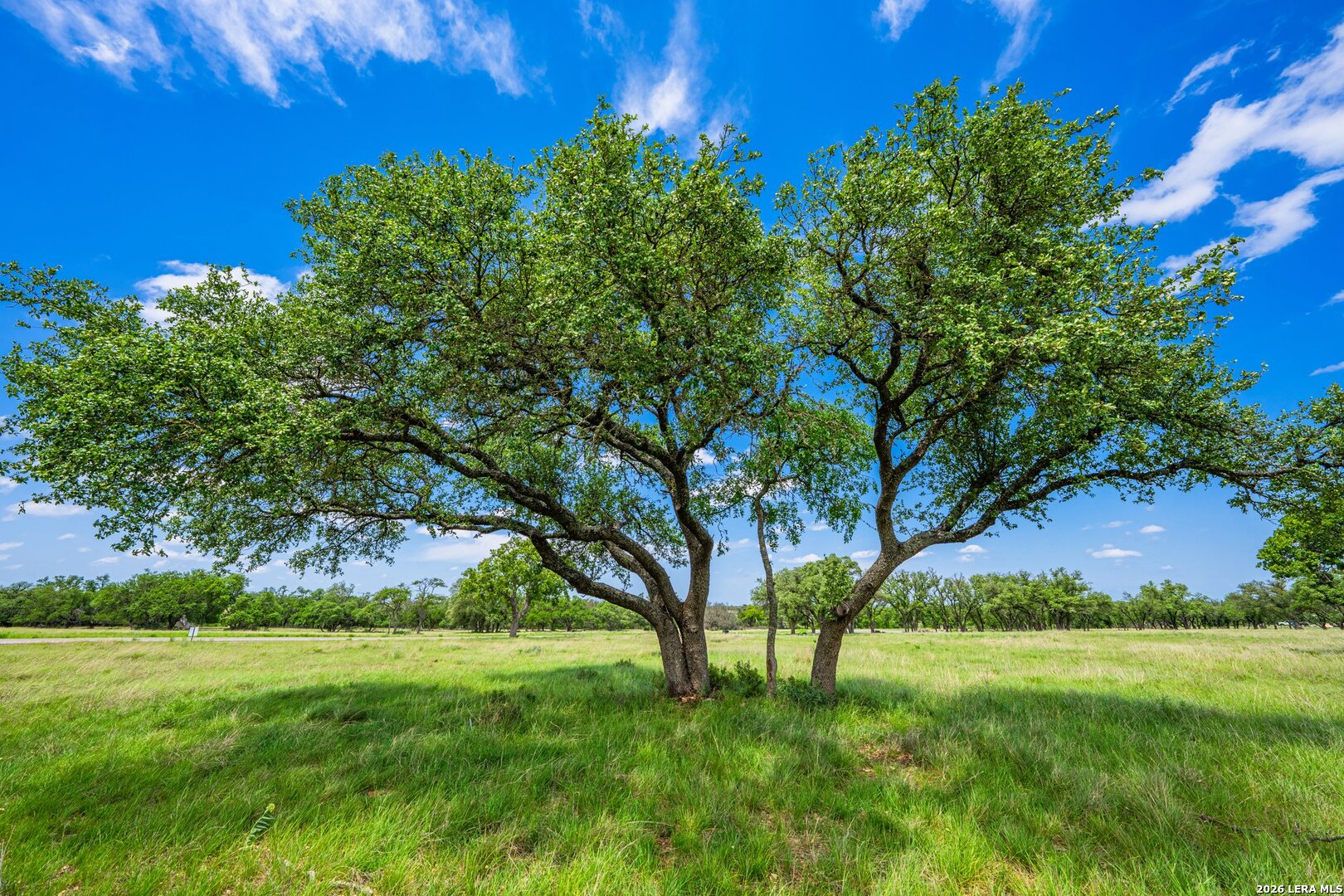 LOT 79 Stock Pond Dr, Harper, TX 78631