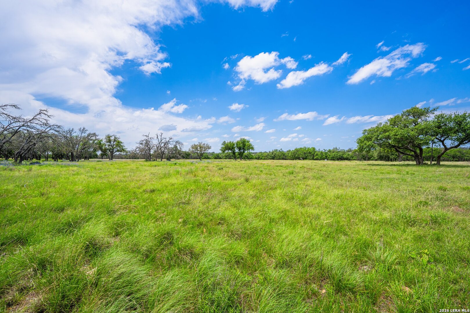 LOT 79 Stock Pond Dr, Harper, TX 78631