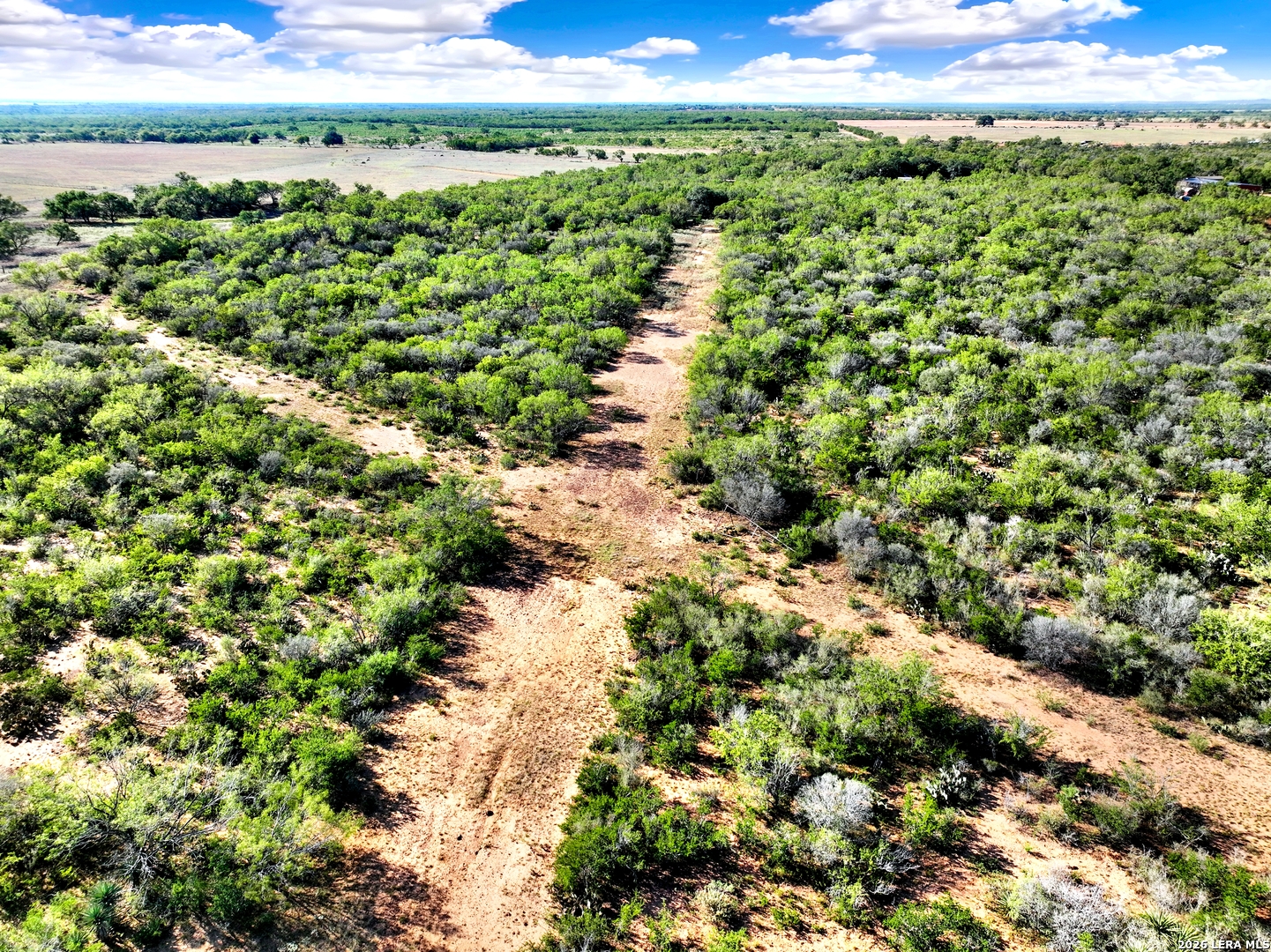 TRACT 1 CR 2530, Moore, TX 78057