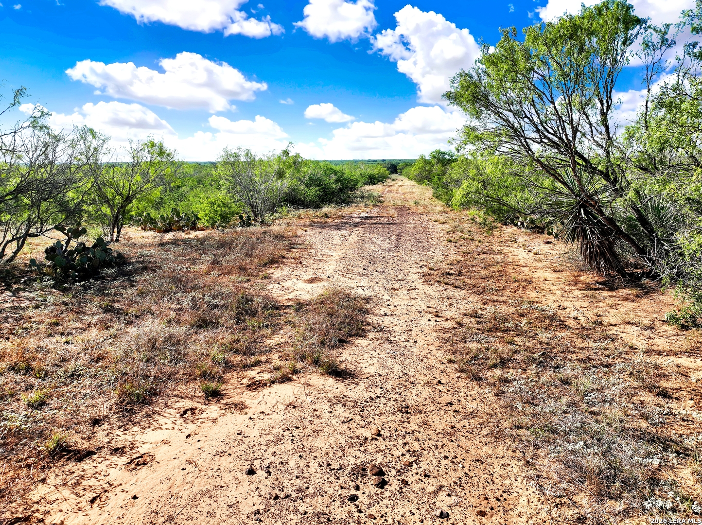 TRACT 1 CR 2530, Moore, TX 78057