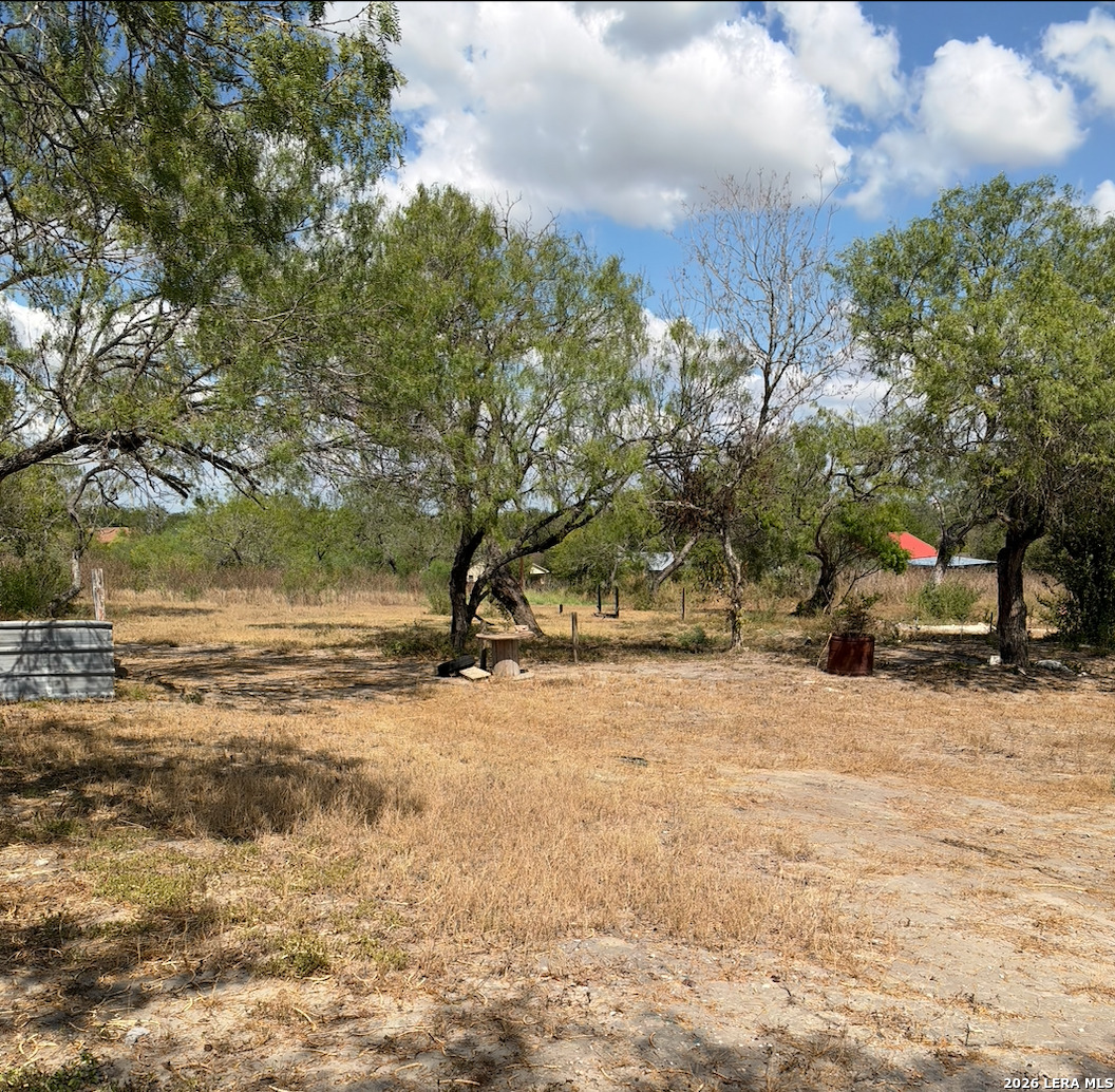 910 PETTUS ST, Kenedy, TX 78119