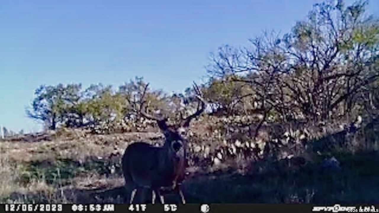 6544 Antler Dr, Fort McKavett, TX 76841
