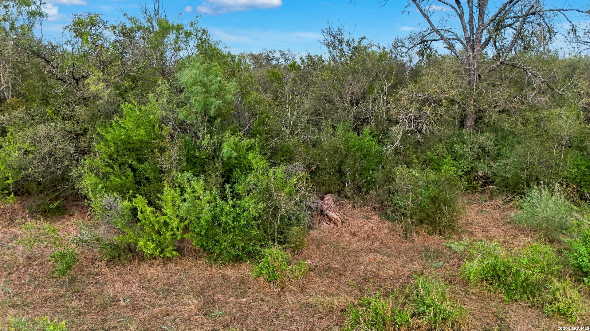 0 Wildhorse Pass, St Hedwig, TX 78152