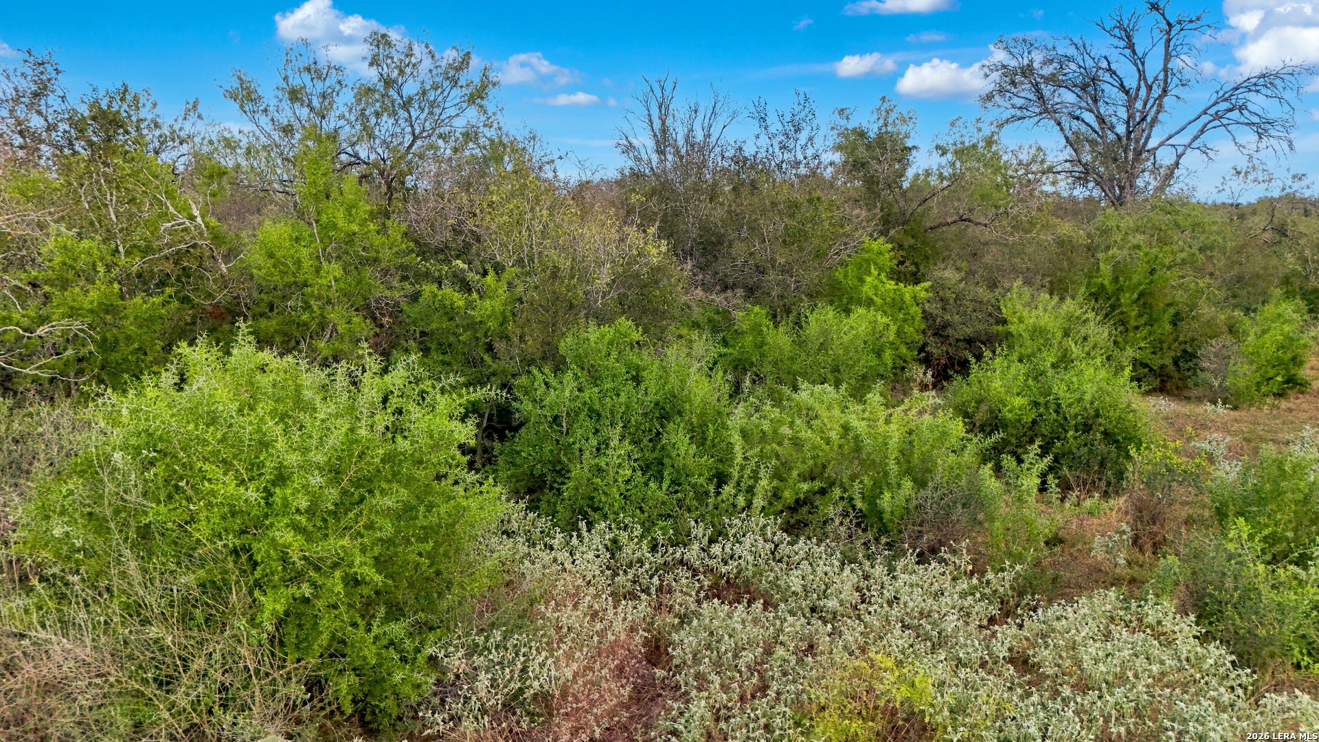 0 Wildhorse Pass, St Hedwig, TX 78152