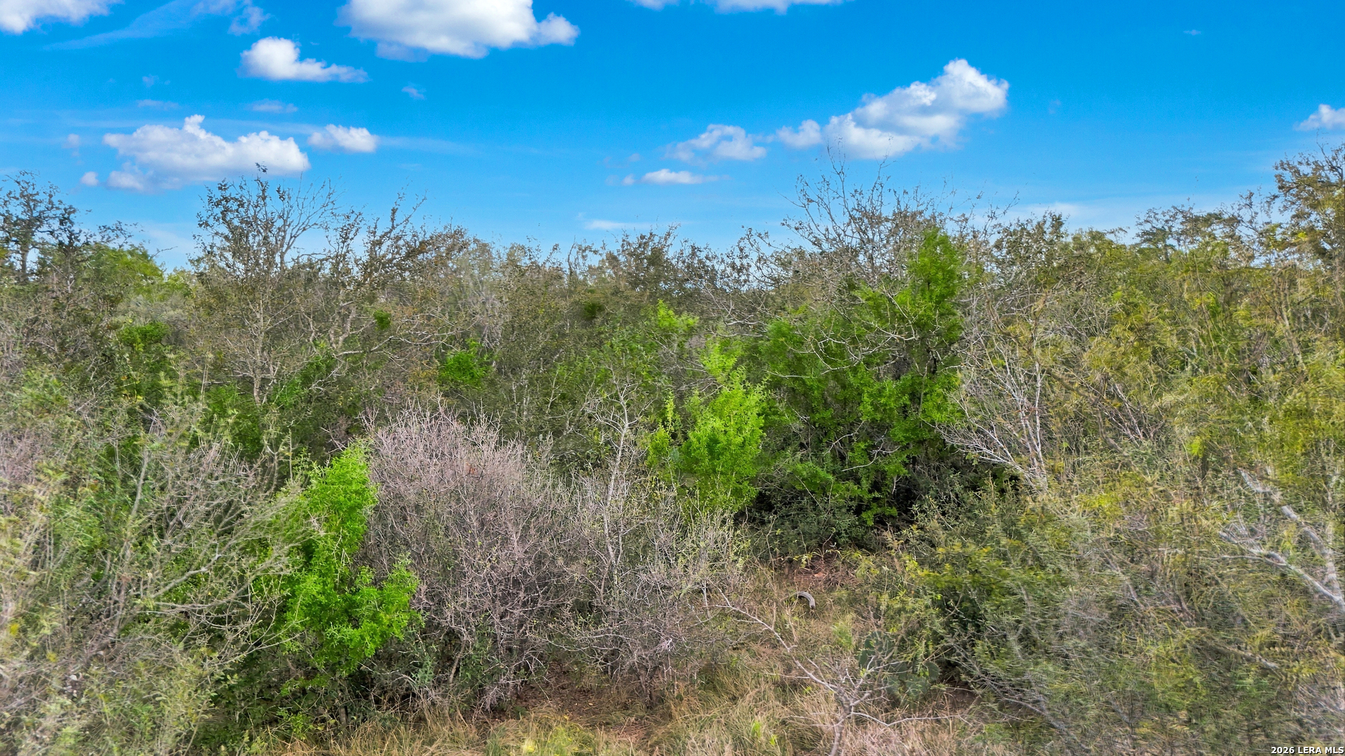 0 Wildhorse Pass, St Hedwig, TX 78152