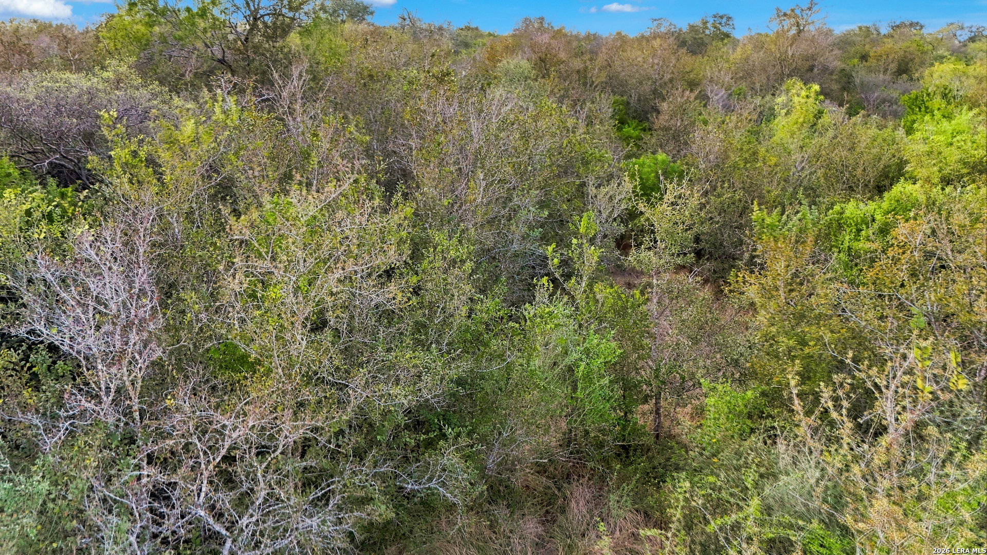 0 Wildhorse Pass, St Hedwig, TX 78152