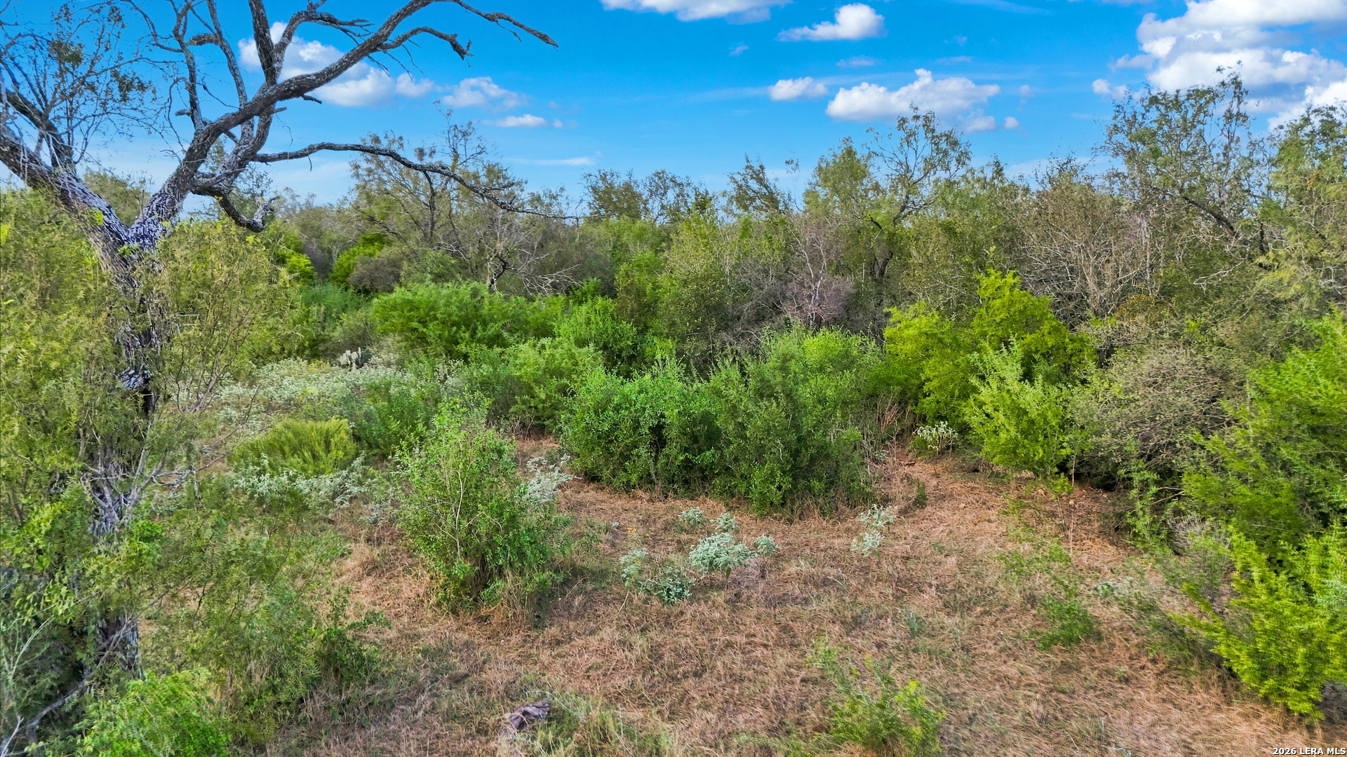 0 Wildhorse Pass, St Hedwig, TX 78152