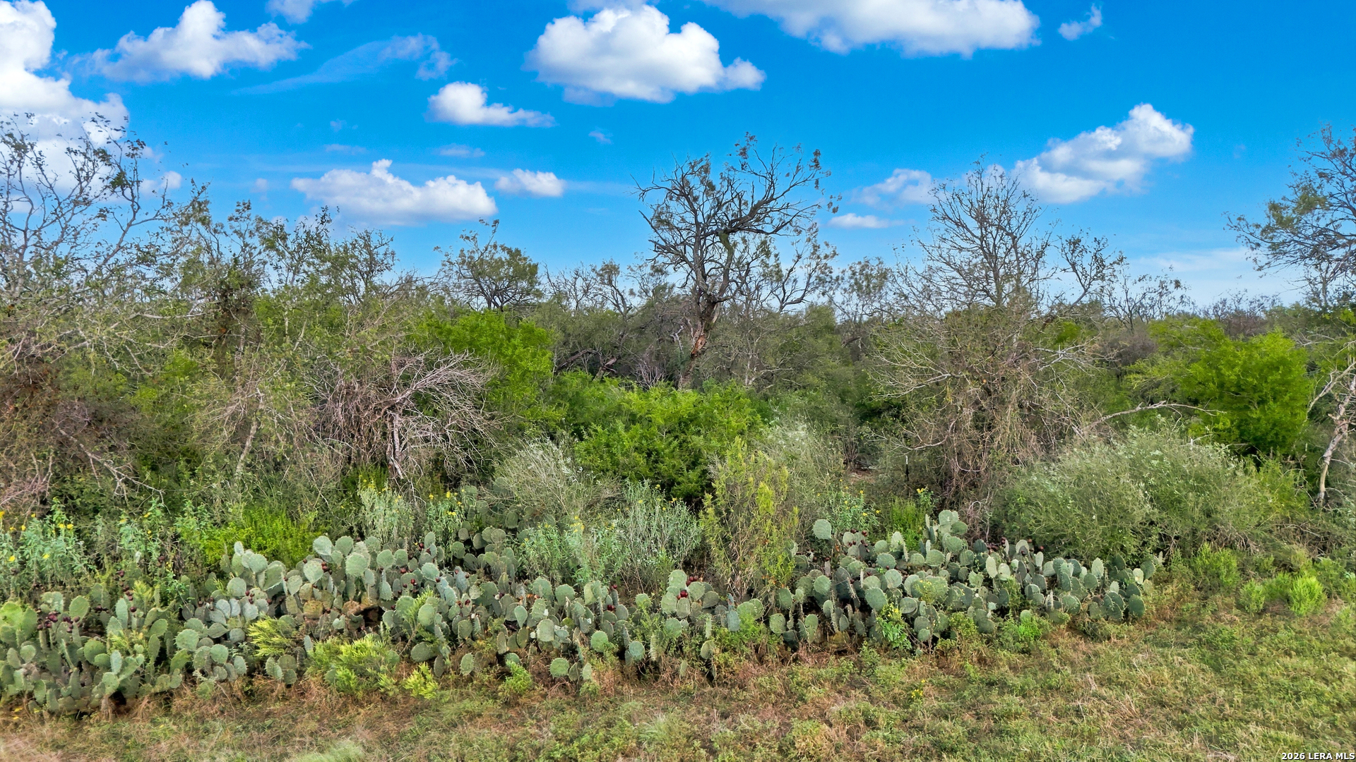 0 Wildhorse Pass, St Hedwig, TX 78152