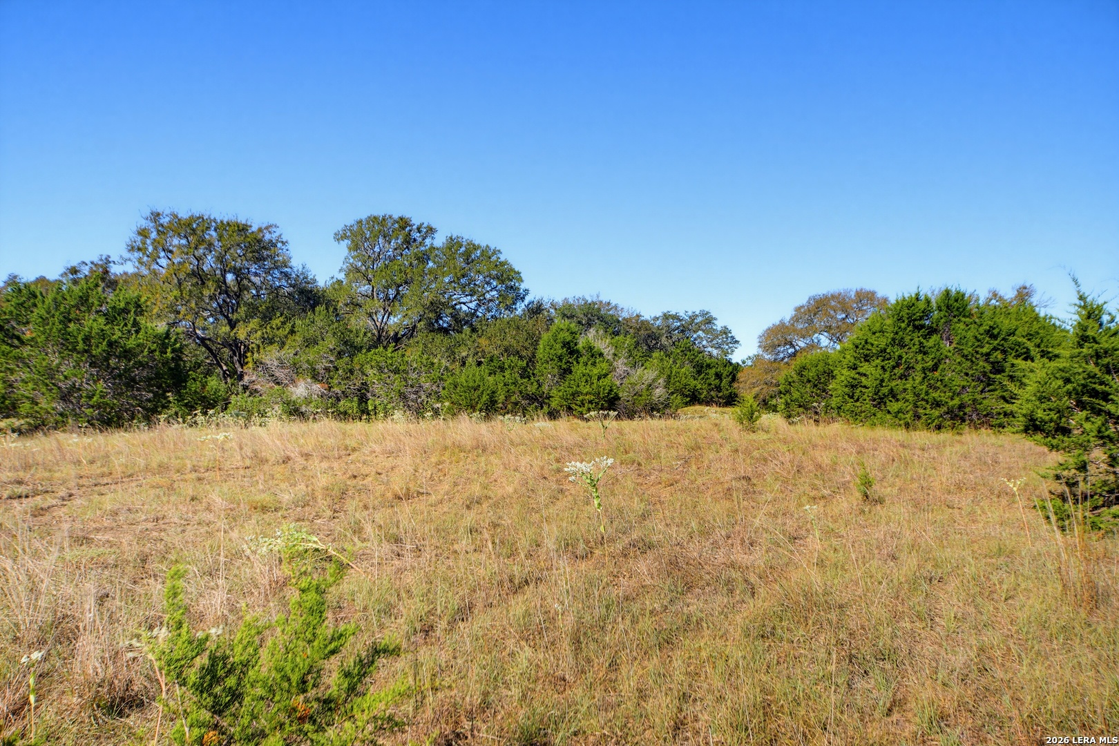 25 ACRES Bentwood Drive, Boerne, TX 78006