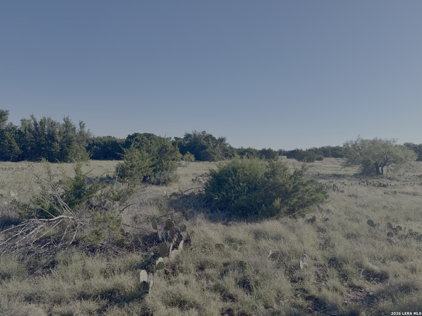 6544 Antler Dr, Fort McKavett, TX 76841