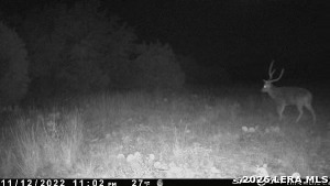 6544 Antler Dr, Fort McKavett, TX 76841