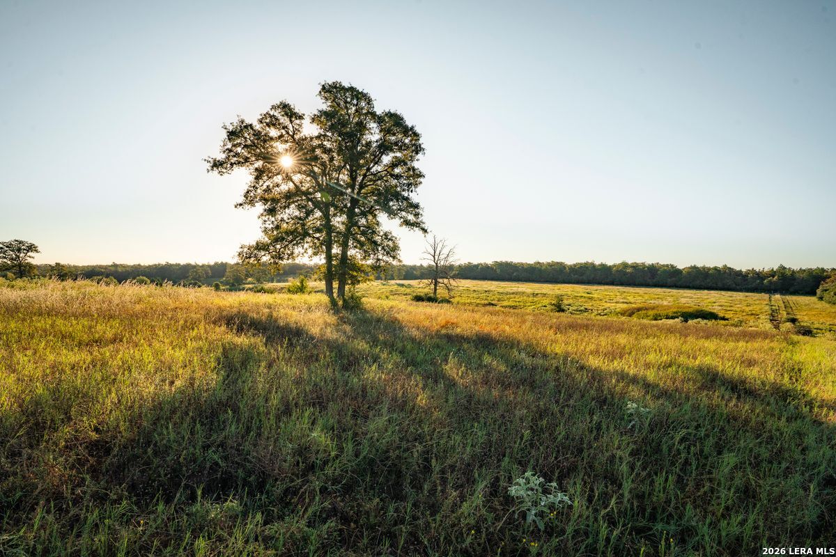 849 County Road 331A, Milano, TX 76556
