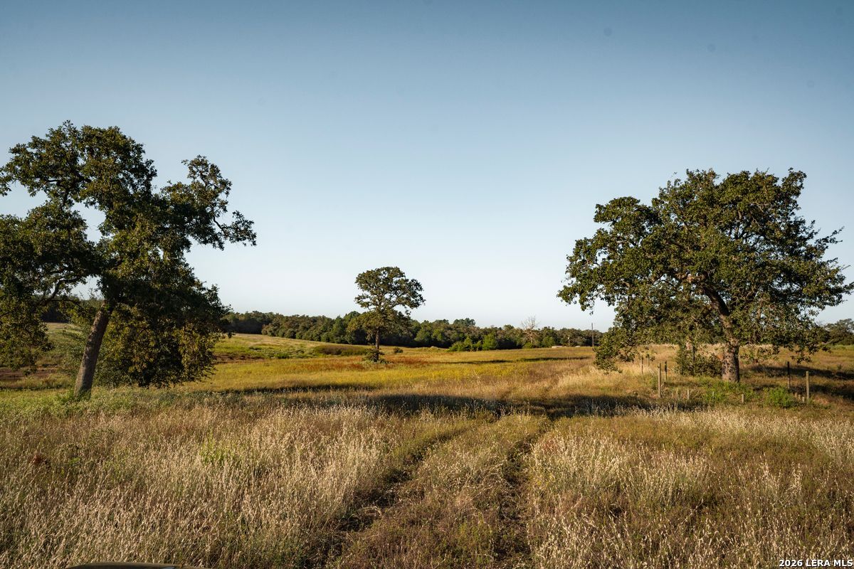 849 County Road 331A, Milano, TX 76556