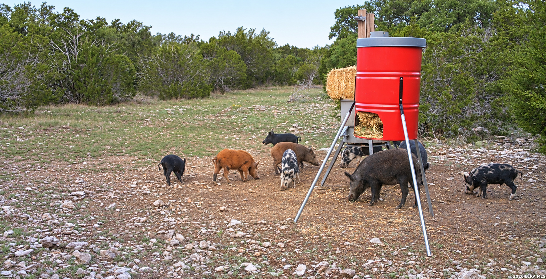 70 County Road 280, Rocksprings, TX 78880