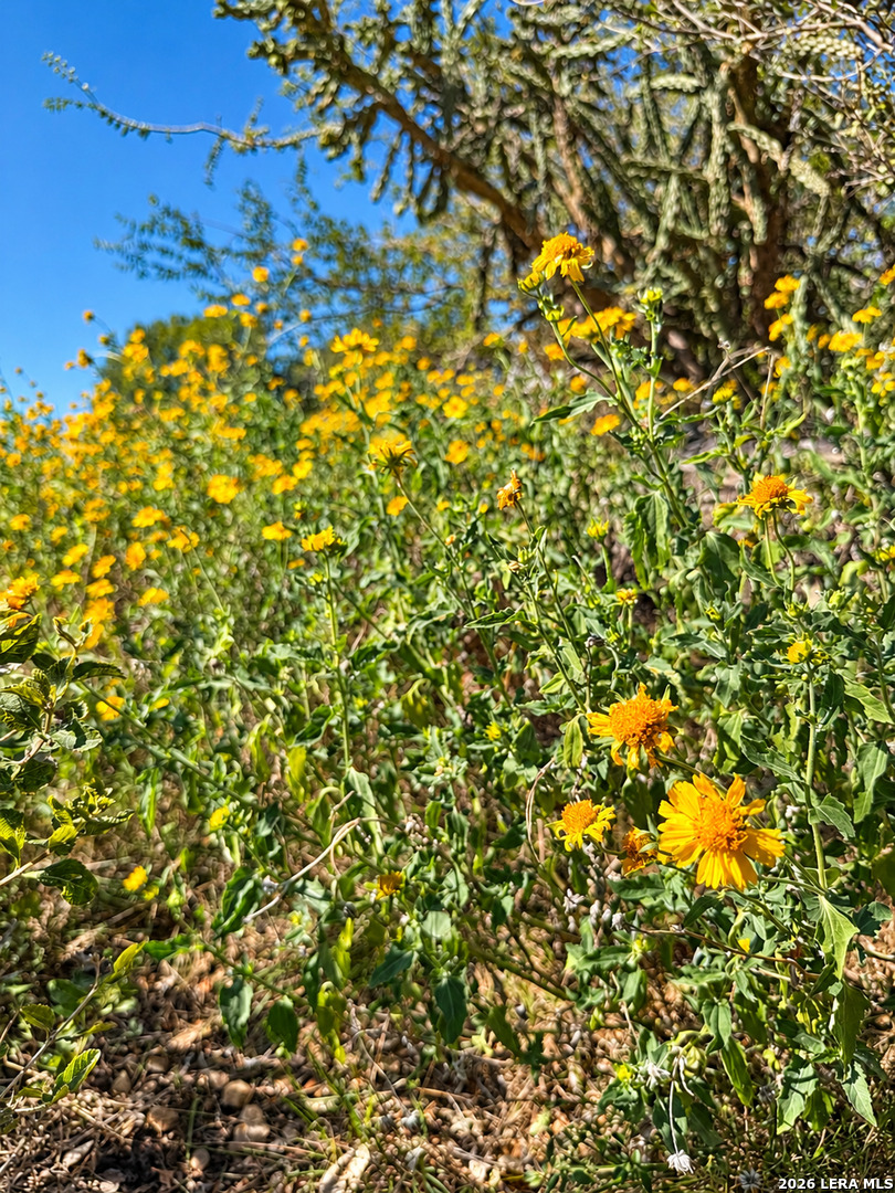 LOT 5 Oak Hills Dr, Bandera, TX 78003