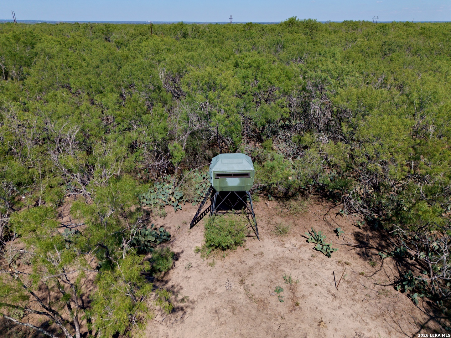 11943 Fm 472, Bigfoot, TX 78005