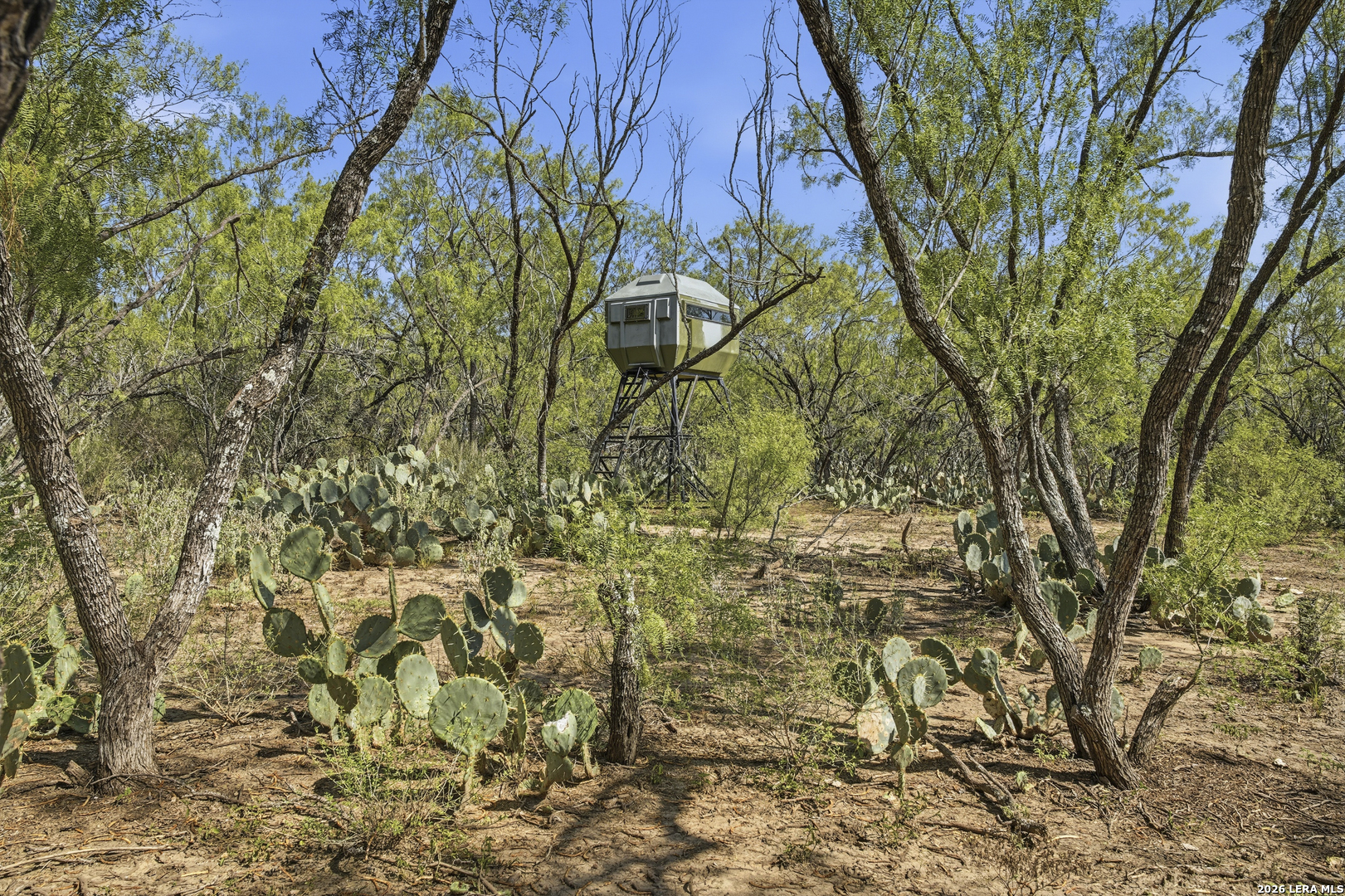 11943 Fm 472, Bigfoot, TX 78005