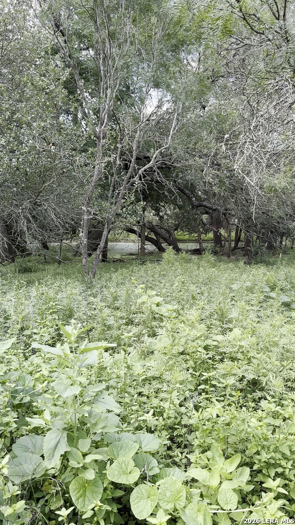 9682 KIRKNER RD, San Antonio, TX 78263