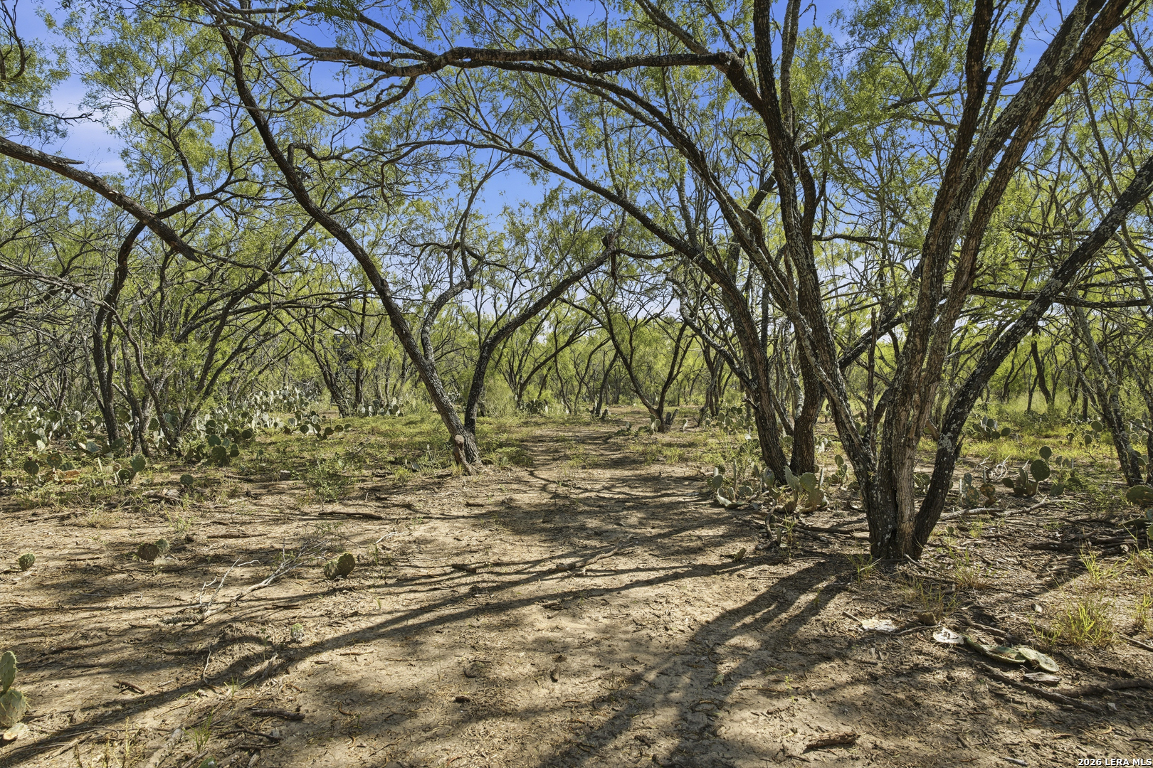 11943 Fm 472, Bigfoot, TX 78005
