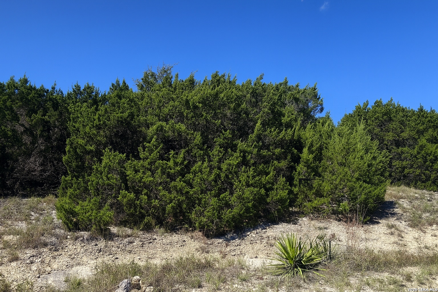 119 N Stallion Estates Dr., Spring Branch, TX 78070