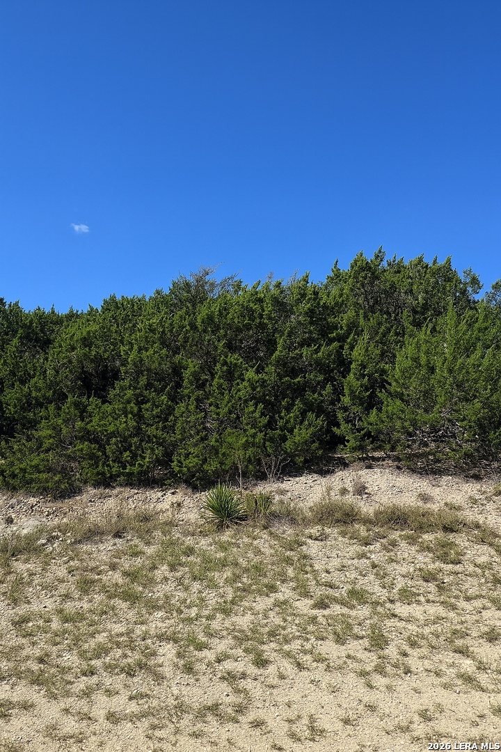 119 N Stallion Estates Dr., Spring Branch, TX 78070
