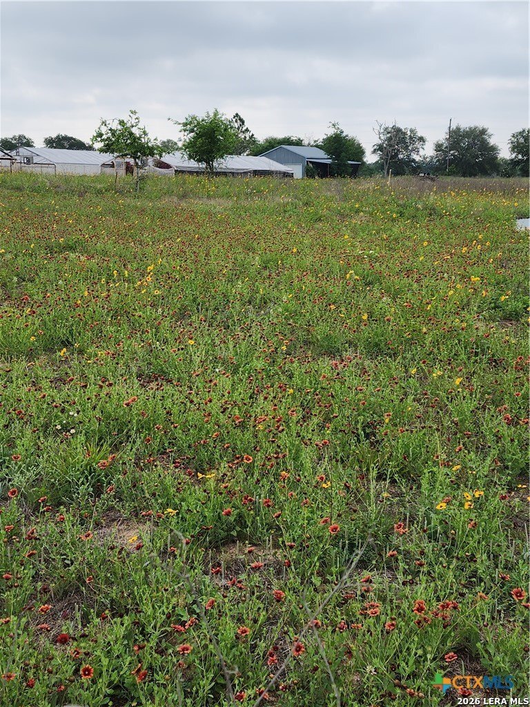 3921 CR 334, Stockdale, TX 78160