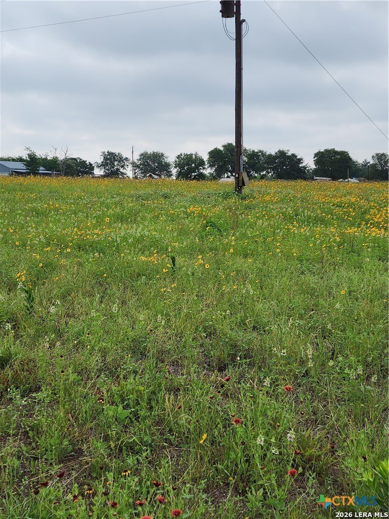 3921 CR 334, Stockdale, TX 78160